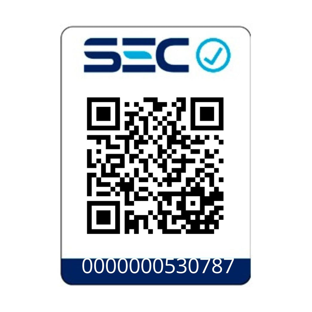 Rizador para cabello Automático Antienredos Mint