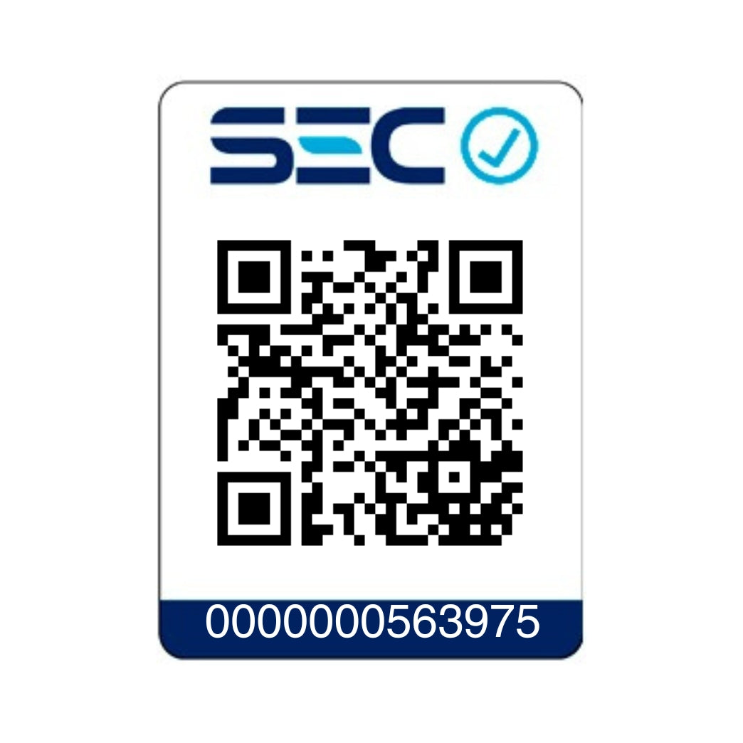 Kit Alisador y Secador con Estuche Mint