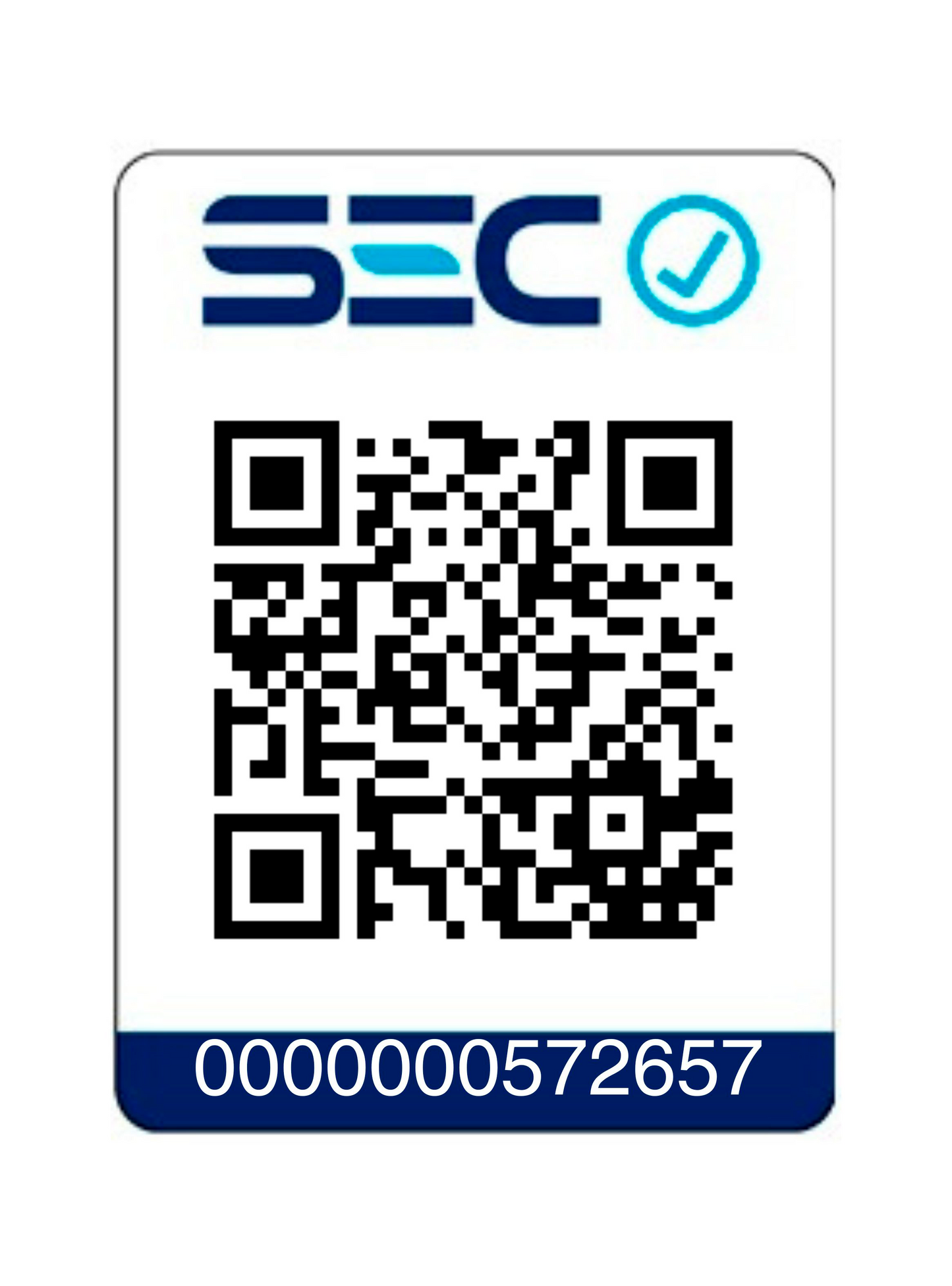 Secador Plegable de Viaje Bivoltaje 1000W Mint